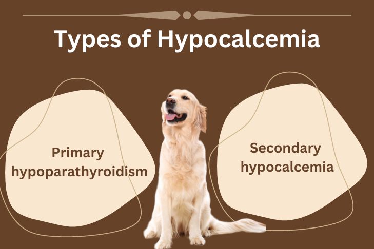 different types of hypocalcemia