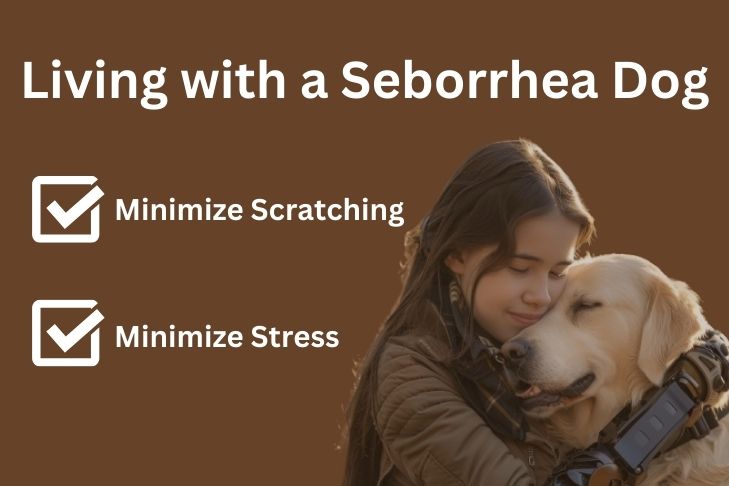 Living with a Seborrhea Dog