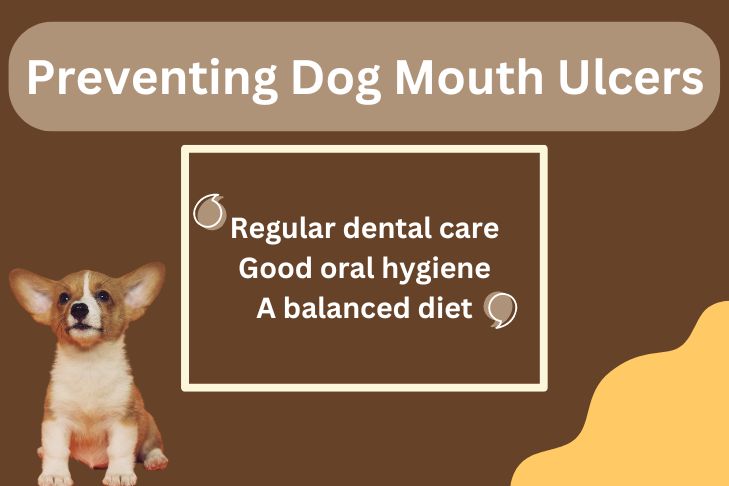 Preventing Dog Mouth Ulcers