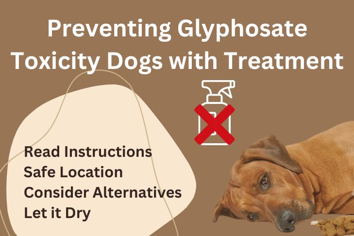 Preventing Glyphosate Toxicity Dogs with Treatment