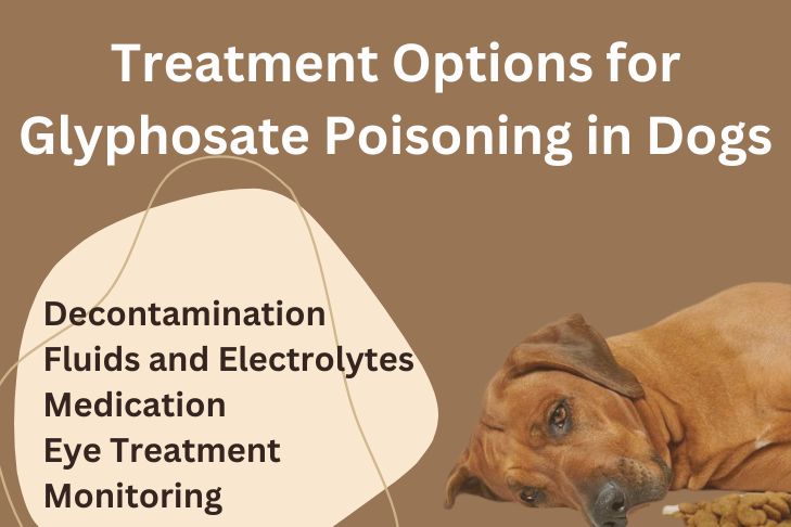 Treatment Options for Glyphosate Poisoning in Dogs