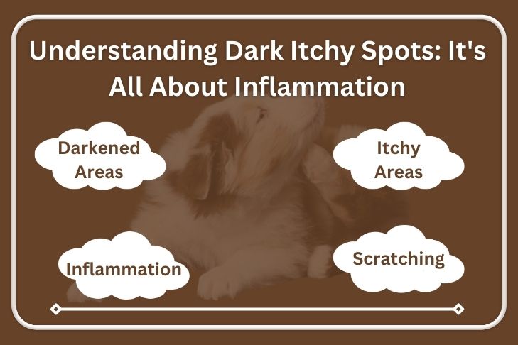 understanding dark itchy spots