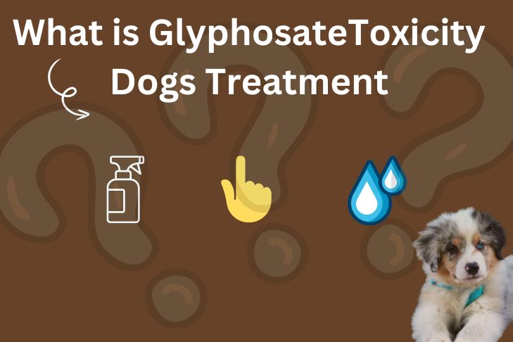 What is Glyphosate Toxicity Dogs Treatment