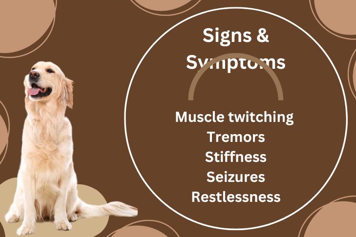 signs and symptoms of hypocalcemia in dogs