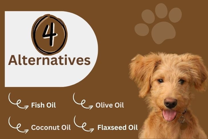 4 alternatives oil to use for dogs