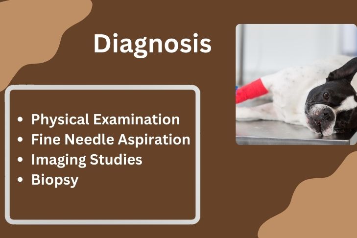 diagnosis of pedunculated mass in dogs