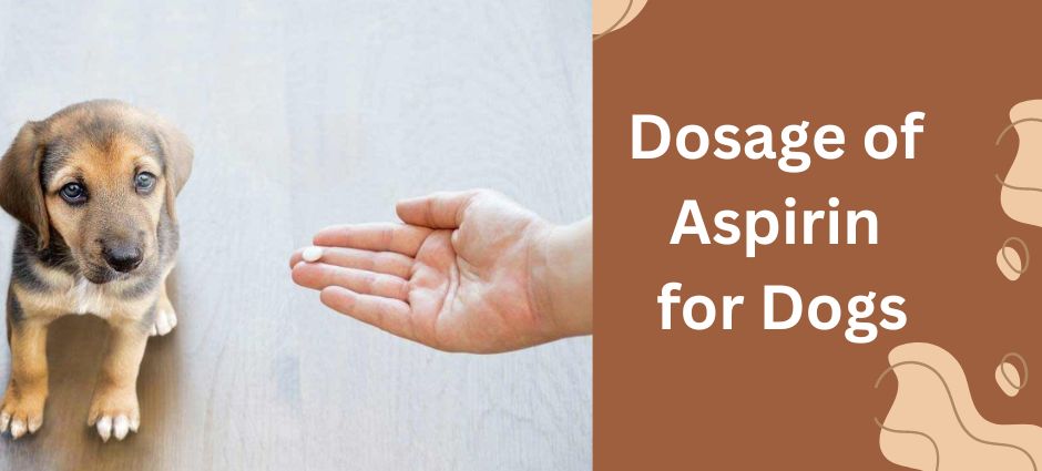 dosage of aspirin for dogs