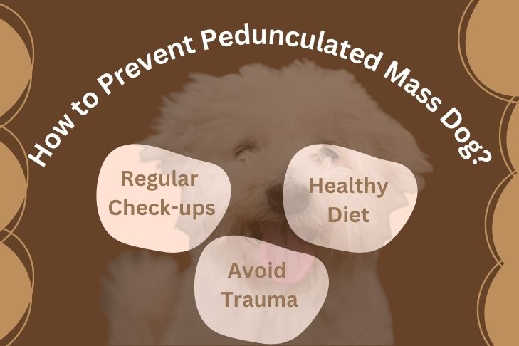 how to prevent pedunculated mass dog