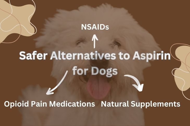 Safer Alternatives to Aspirin for Dogs