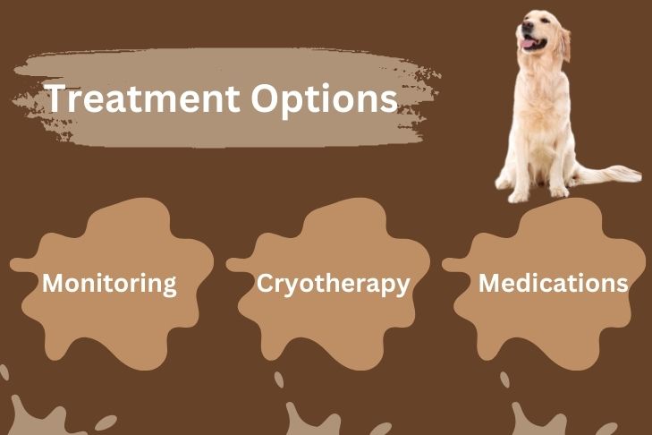 treatment options for pedunculated mass dog