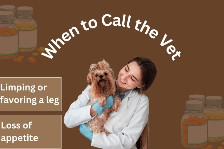 When to Call the Vet