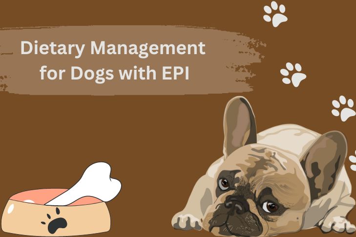 dietary management for dogs with epi