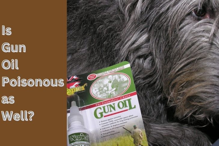 is gun oil poisonous for dogs