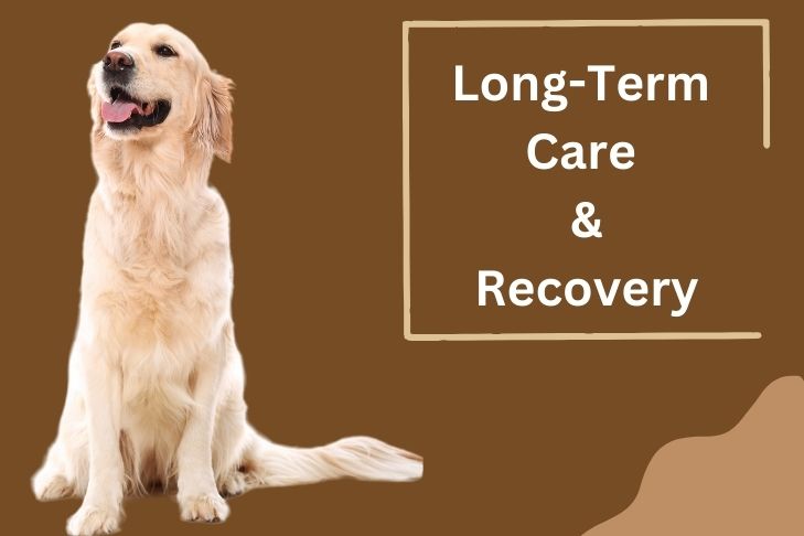 long-term care and recovery