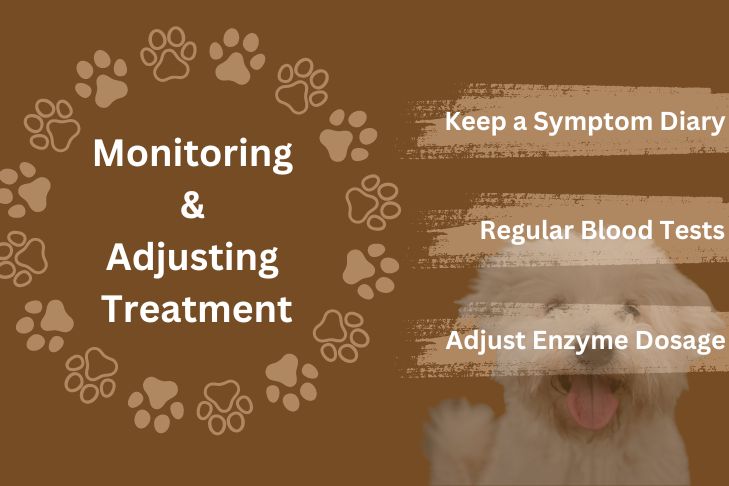 monitoring and adjusting treatment